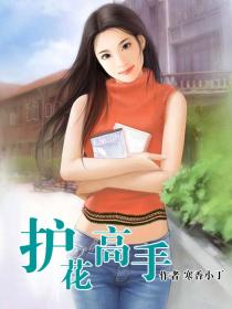 《护花高手》（校对版全本）作者：寒香小丁 封面