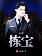 《拣宝》（校对版全本）作者：烛 封面