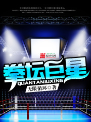 《拳坛巨星》（校对版全本）作者：无限循环 封面