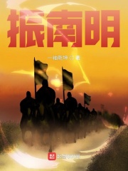 《振南明》（校对版全本）作者：一袖乾坤 封面