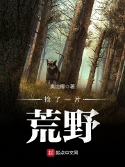 《捡了一片荒野》（校对版全本）作者：奥比椰 封面