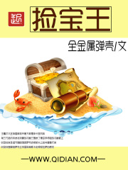 《捡宝王》（校对版全本）作者：全金属弹壳 封面