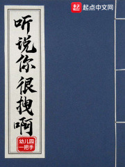 《掌门低调点》（校对版全本）作者：幼儿园一把手 封面