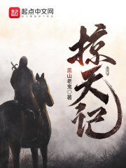 《掠天记》（校对版全本）作者：黑山老鬼 封面