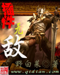 《插件无敌》（校对版全本）作者：野白菜 封面
