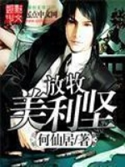 《放牧美利坚》（校对版全本）作者：何仙居 封面