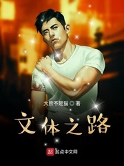 《文体之路》（校对版全本）作者：大熊不是猫 封面