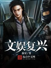 《文娱复兴》（校对版全本）作者：葆星 封面