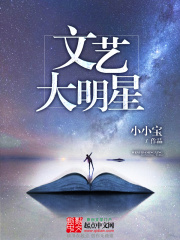 《文艺大明星》（校对版全本）作者：卖萌无敌小小宝 封面