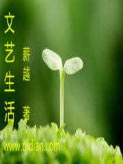 《文艺生活》（校对版全本）作者：薪越 封面
