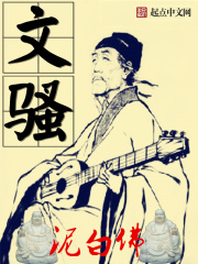 《文骚》（校对版全本）作者：泥白佛 封面