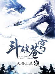 《斗破苍穹》（校对版全本）作者：天蚕土豆 封面