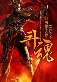 《斗魂》（校对版全本）作者：云泪天雨 封面