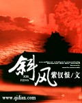 《斜风》（校对版全本）作者：紫钗恨 封面