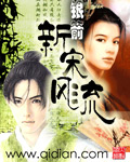 《新宋风流》（校对版全本）作者：银箭 封面