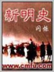 《新明史》（校对版全本）作者：闪烁 封面