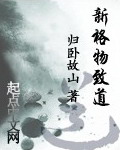 《新格物致道》（校对版全本）作者：归卧故山 封面