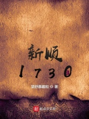 《新顺1730》（校对版全本）作者：望舒慕羲和 封面