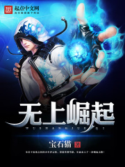 《无上崛起》（校对版全本）作者：宝石猫 封面