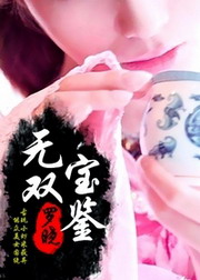 《无双宝鉴》（校对版全本）作者：罗晓 封面