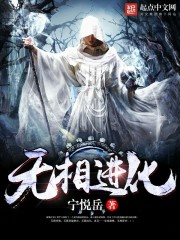 《无相进化》（校对版全本）作者：宁悦岳 封面