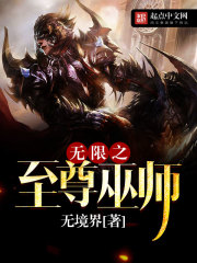 《无限之至尊巫师》（校对版全本）作者：无境界 封面