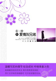 《明星检察官》（校对版全本）作者：三三二一 封面