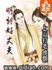 《明朝好丈夫》（校对版全本）作者：上山打老虎额 封面