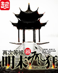《明末疯狂》（校对版全本）作者：再次等候 封面