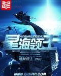 《星海领主》（校对版全本）作者：暗狱领主 封面