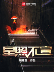 《星照不宣》（校对版全本）作者：蝴蝶蓝 封面