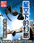 《星空下的幻想》（校对版全本）作者：新世界骇客 封面