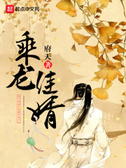 《乘龙佳婿》（校对版全本）作者：府天 封面