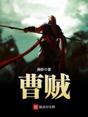 《曹贼》（校对版全本）作者：庚新 封面