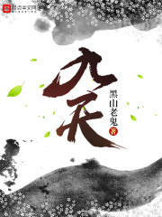 《九天》（校对版全本）作者：黑山老鬼 封面