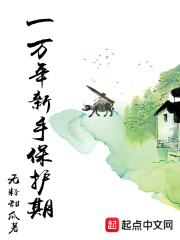 《一万年新手保护期》（校对版全本）作者：无籽甜瓜 封面