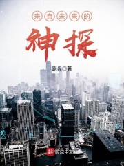 《来自未来的神探》（校对版全本）作者：跑盘 封面