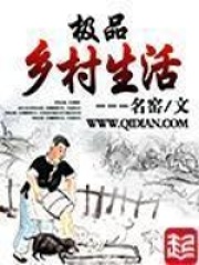 《极品乡村生活》（校对版全本）作者：名窑 封面