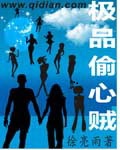 《极品偷心贼》（校对版全本）作者：徐亮雨 封面