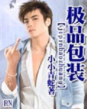 《极品包装》（校对版全本）作者：小小青蛇 封面