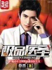 《极品医圣》（校对版全本）作者：蔡晋 封面