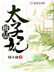 《极品太子妃》（校对版全本）作者：圆不破 封面