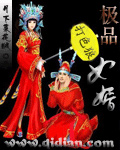 《极品女婿》（校对版全本）作者：月下菜花贼 封面