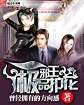 《极品护花邪王》（校对版全本）作者：曾经拥有的方向感 封面