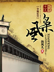 《枭风》（校对版全本）作者：海风儿 封面