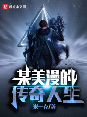 《某美漫的传奇人生》（校对版全本）作者：米一克 封面