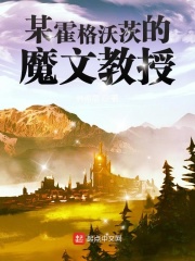 《某霍格沃茨的魔文教授》（校对版全本）作者：韩游思 封面