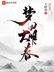 《梦回大明春》（校对版全本）作者：王梓钧 封面