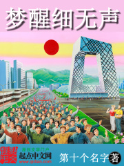 《梦醒细无声》（校对版全本）作者：第十个名字 封面