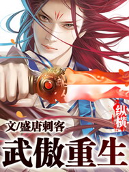 《武傲重生》（校对版全本）作者：盛唐刺客 封面